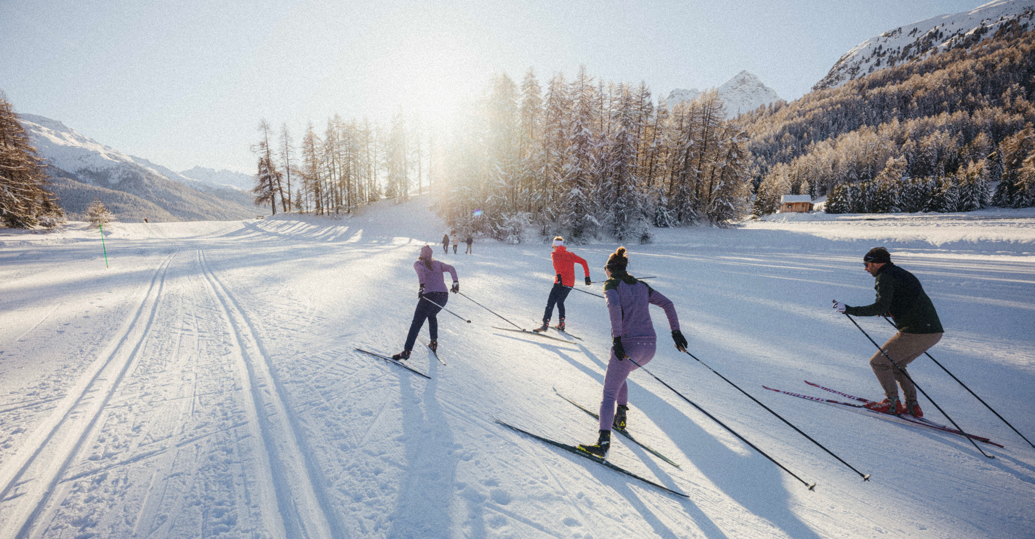 JailJam 5 JG5302 480